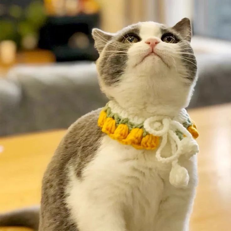 0946ed28218433294627fe69c644af6a_4cee17ea-ad14-4101-8a56-8a9a48f47ee3