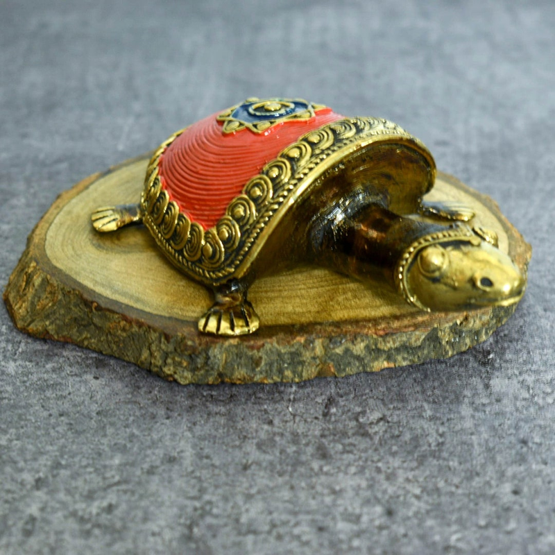 31129396-afe7-474f-a981-ff3c3748f6b9_f349e1a1-1476-44ac-b7eb-892f99379df7-4x